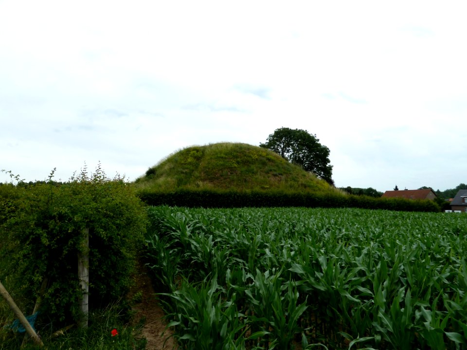 Tongeren-Tumulus Koninksem (Romeinse Kassei) (2)