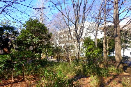Tokyo Metropolitan Central Library - Arisugawa-no-miya Memorial Park - DSC06839