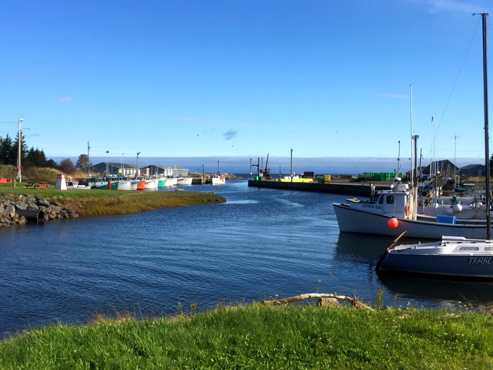 ToneyRiverHarbor