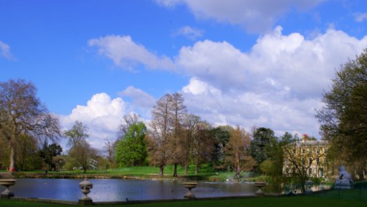 The pond in the evening sun