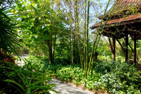 Thai Pavilion - Naples Botanical Garden - Naples, Florida - DSC09846