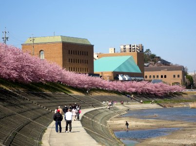 Tatsumigaoka-Kaikan-3