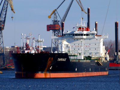 Targale - IMO 9323340 - Callsign V7LN9 pic1