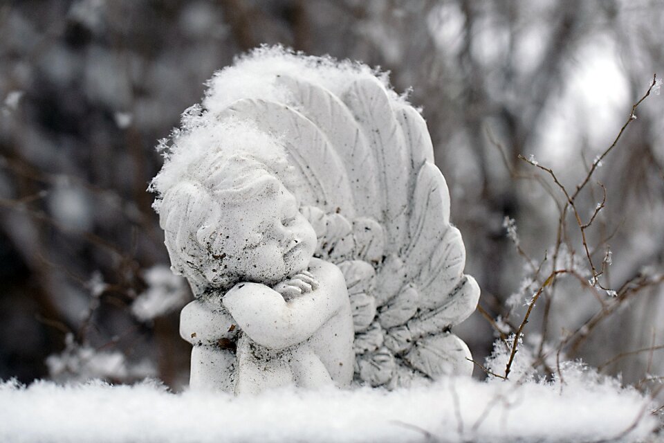 Frozen angel statue