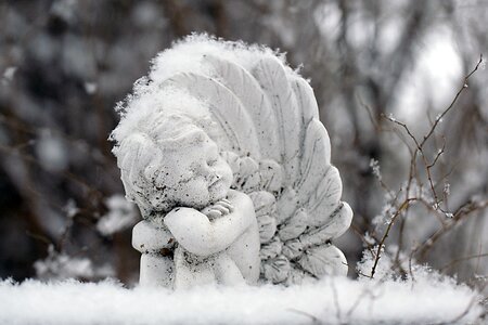 Frozen angel statue