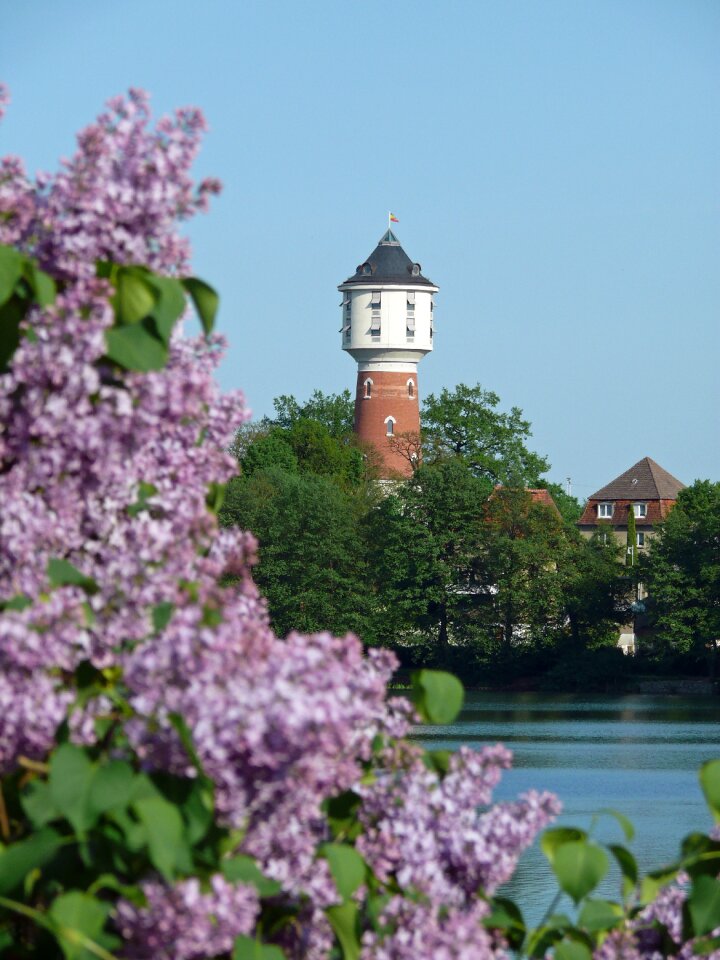 Lake water neustrelitz