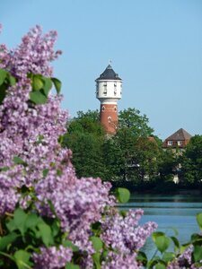 Lake water neustrelitz