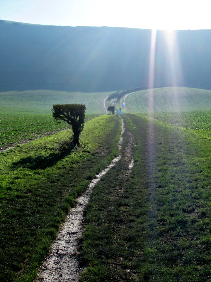 The path to Windover Hill