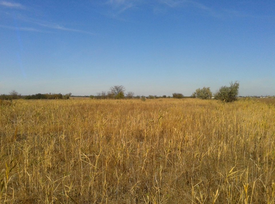 TarasovkaDz 5