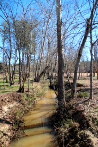 Tanyard Creek, Acworth GA Feb 2020 photo