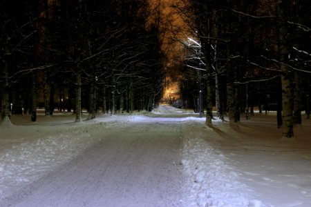Tarkka-ampujanpuisto Oulu 20141222