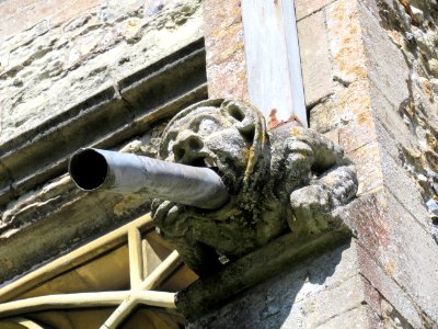 Thaxted gargoyle 05