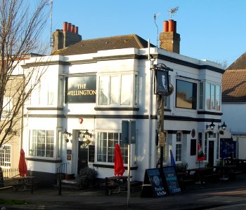 The Wellington pub, 53 Elm Grove, Brighton (February 2020) (2)