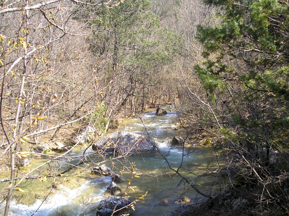 Uzundzha River 12