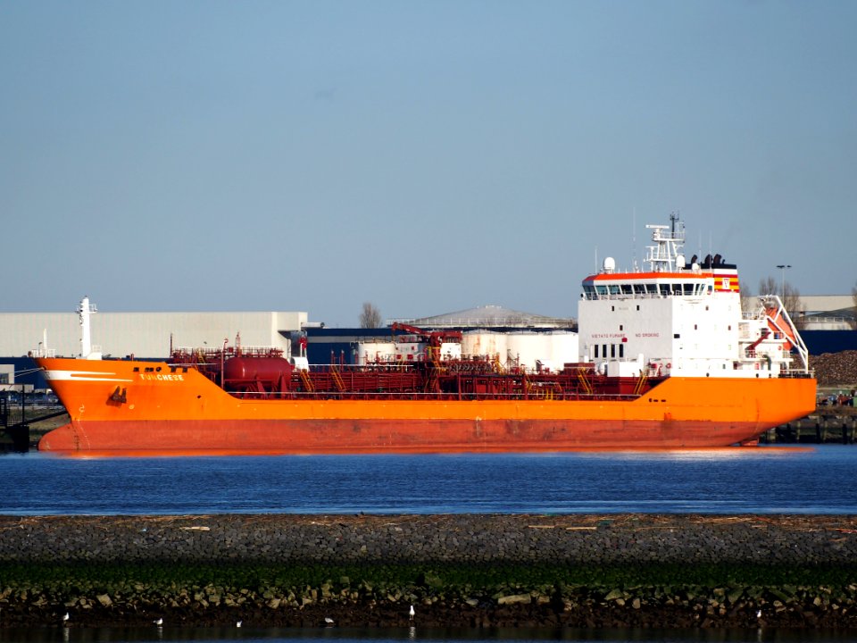 Turchese (ship, 2000) IMO 9220354 Port of Rotterdam
