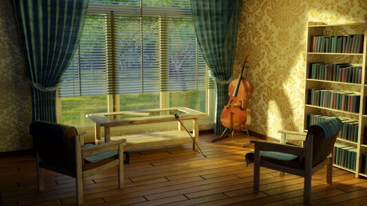 House apartment cello photo