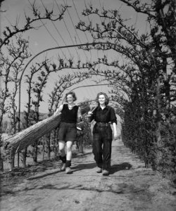 Tuinbouwschool Huize te Lande te Rijswijk, Bestanddeelnr 901-6185