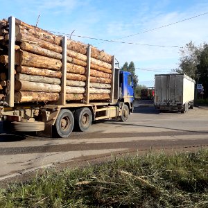 Timber trucks in Koryazhma (01) photo