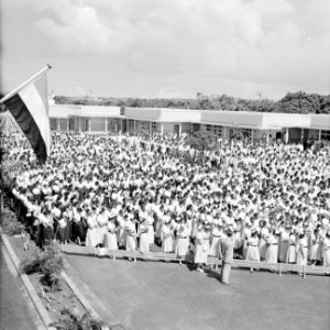 Toeschouwers bij het bezoek van koningin Juliana aan het Stuyvesant-college, Bestanddeelnr 252-3688