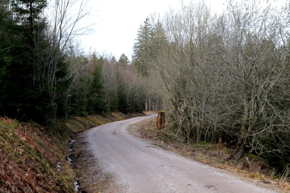 Track from Herrrenwieser Sattel to Mittelfeldhütte 2020-03-13 05