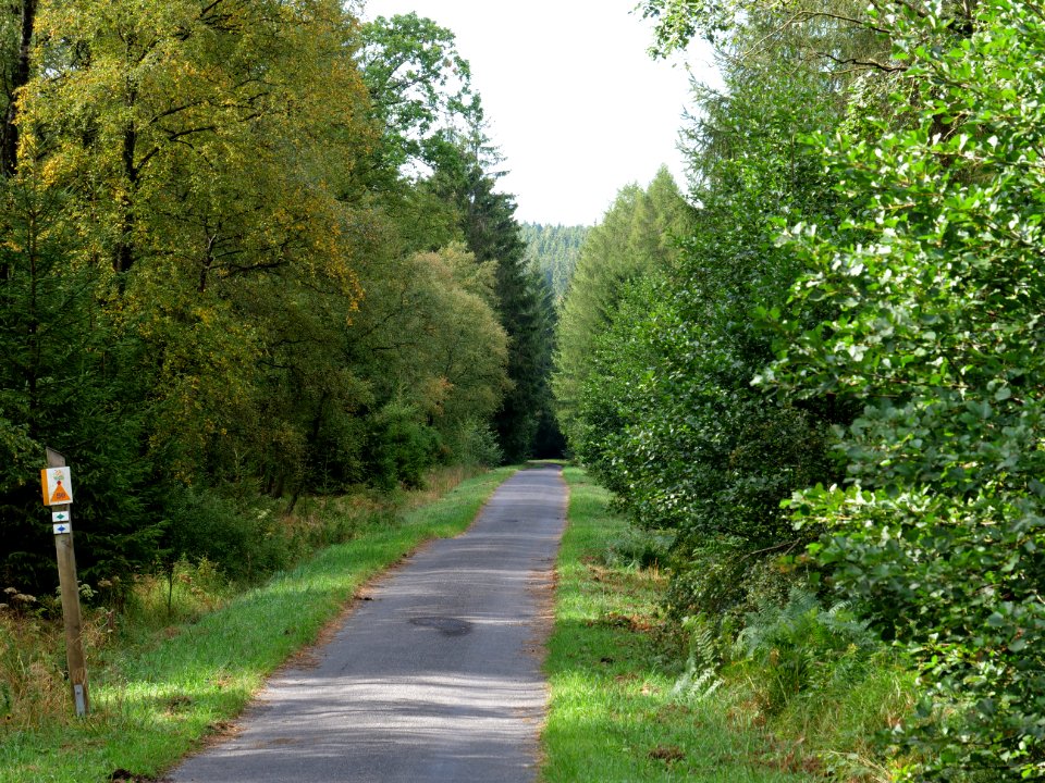Track in the Osthertogenwald 14