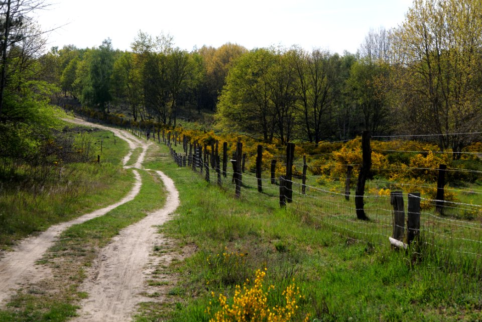 Track in Döberitzer Heide 2020-05-08 72