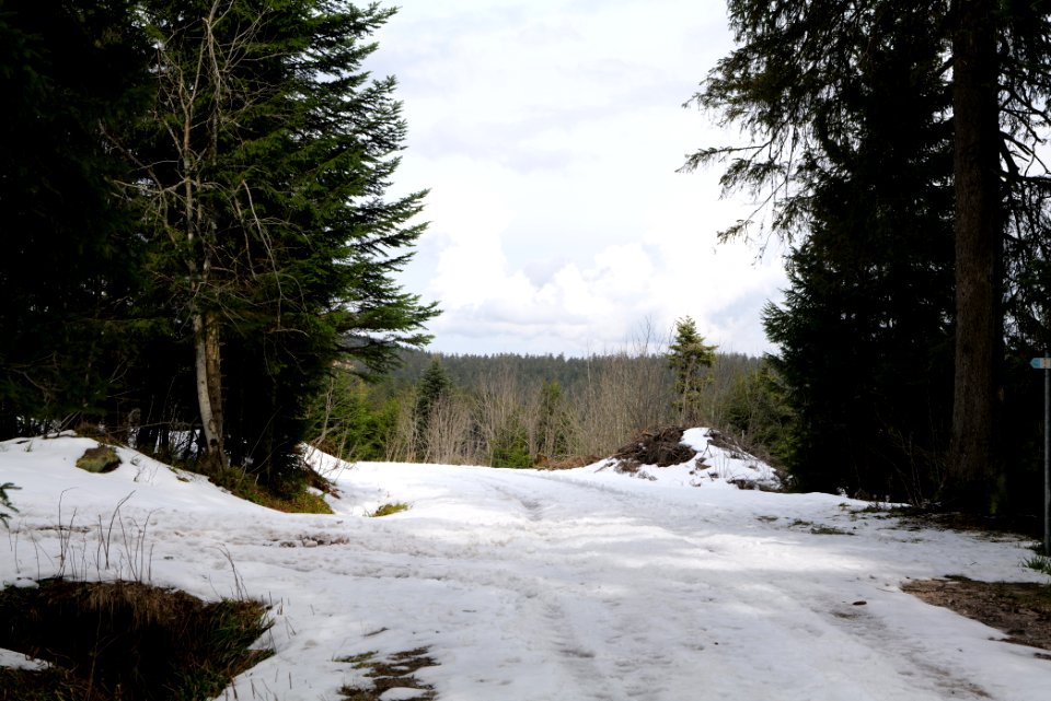Track Unterstmatt to Ochsenstall 2020-03-14 19