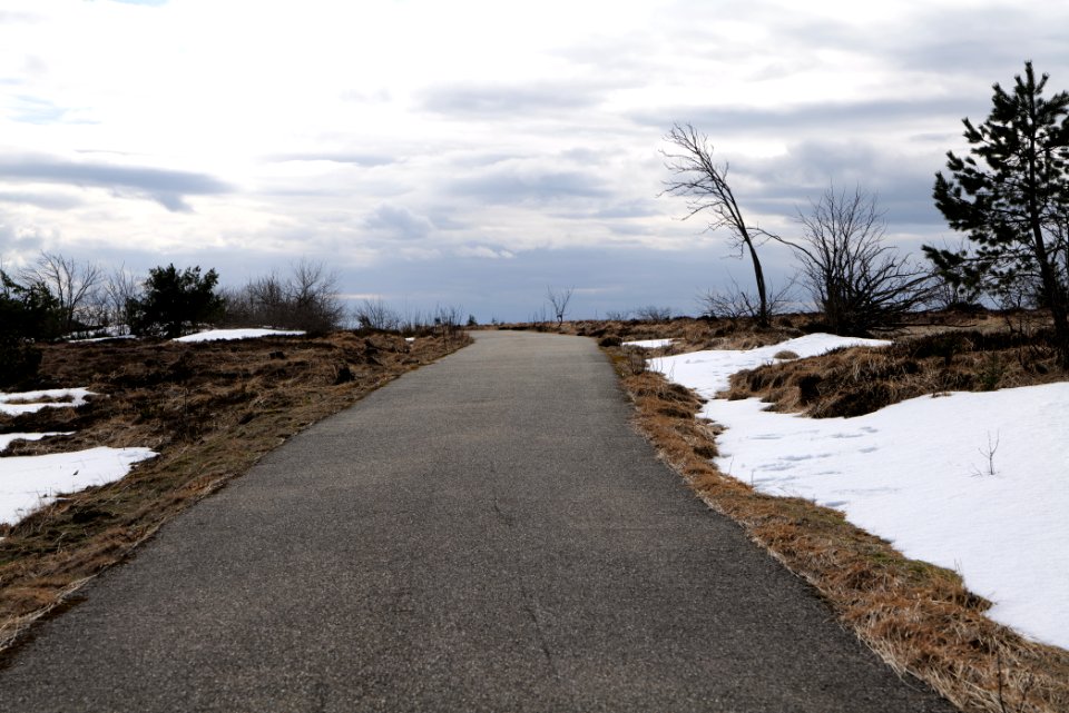 Track on Hornisgrinde 2020-03-14 01