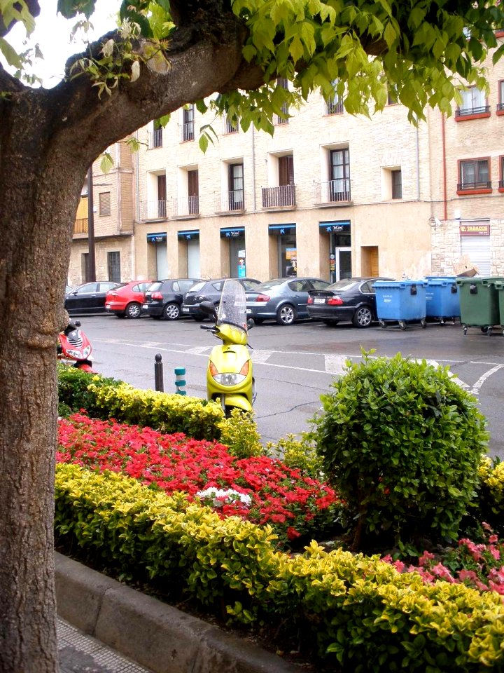 Tudela - Calle Muro 2