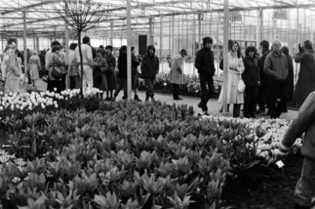 Tuinbouwtentoonstelling Floriade trok het paasweekend ongeveer 100.000 bezoekers, Bestanddeelnr 932-1012