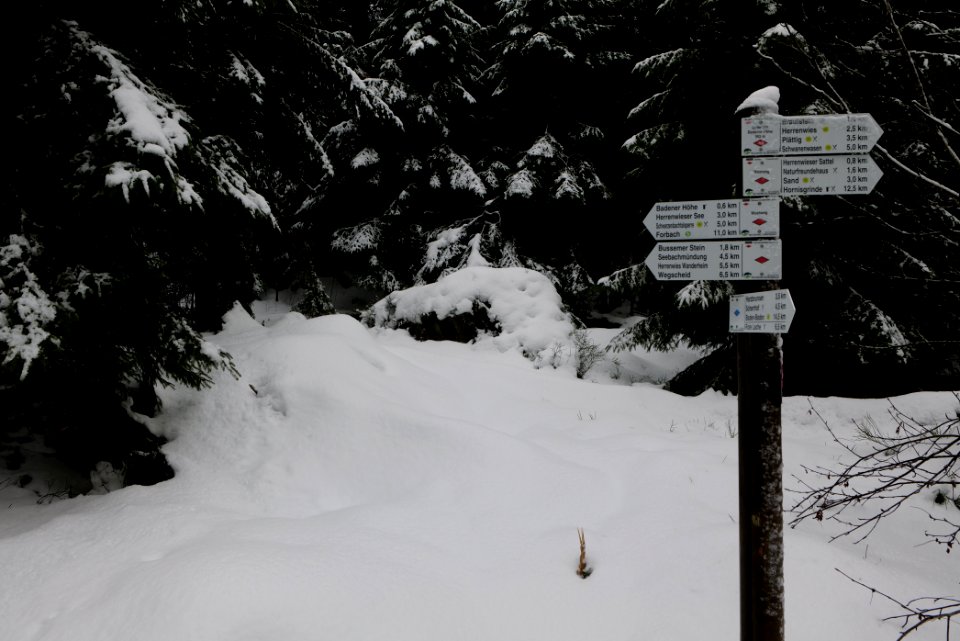 Track from Herrenwieser Sattel to Badener Höhe with snow 2020-03-10 07