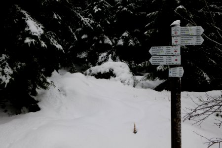 Track from Herrenwieser Sattel to Badener Höhe with snow 2020-03-10 07