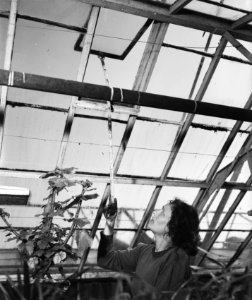 Tuinbouwschool Huize te Lande te Rijswijk, Bestanddeelnr 901-6182