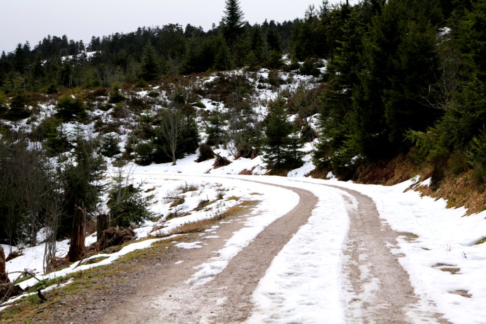 Track Unterstmatt to Ochsenstall 2020-03-14 06