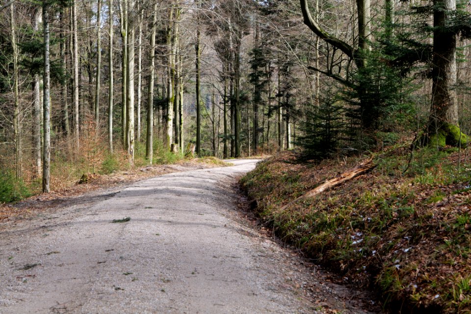 Track from Herrrenwieser Sattel to Mittelfeldhütte 2020-03-13 07