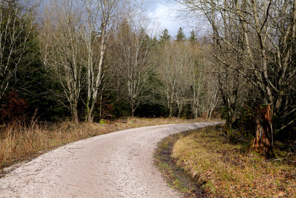 Track from Herrrenwieser Sattel to Mittelfeldhütte 2020-03-13 10