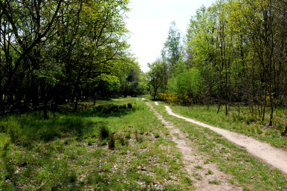 Track in Döberitzer Heide 2020-05-08 24
