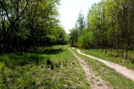 Track in Döberitzer Heide 2020-05-08 24