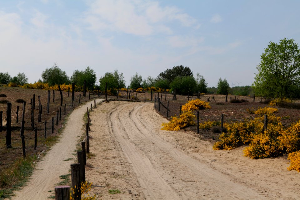 Track in Döberitzer Heide 2020-05-08 56