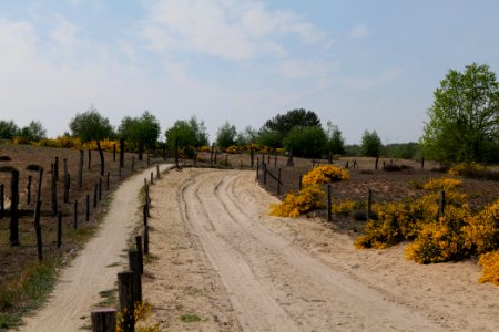 Track in Döberitzer Heide 2020-05-08 56