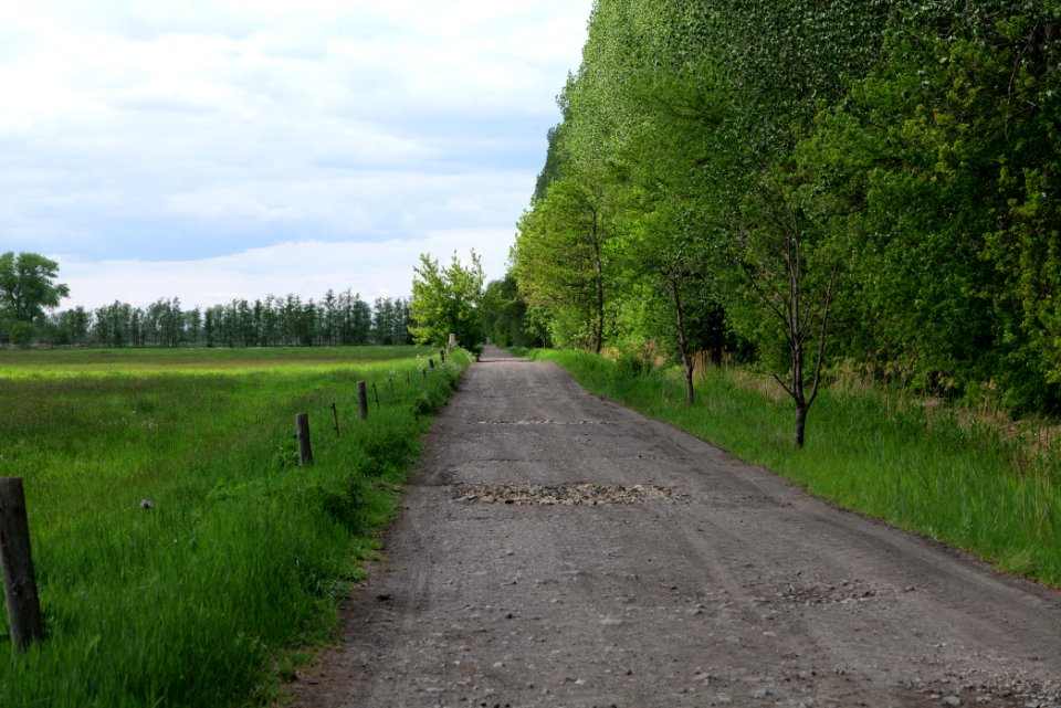 Track in Nauen 2020-05-15 11