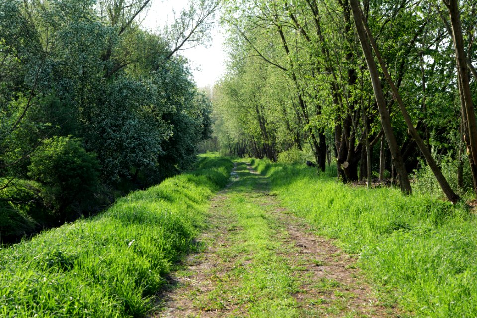 Track in Kiekebusch 2021-05-11 09
