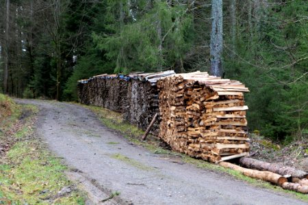 Track near Tobelbach 2020-03-11 10