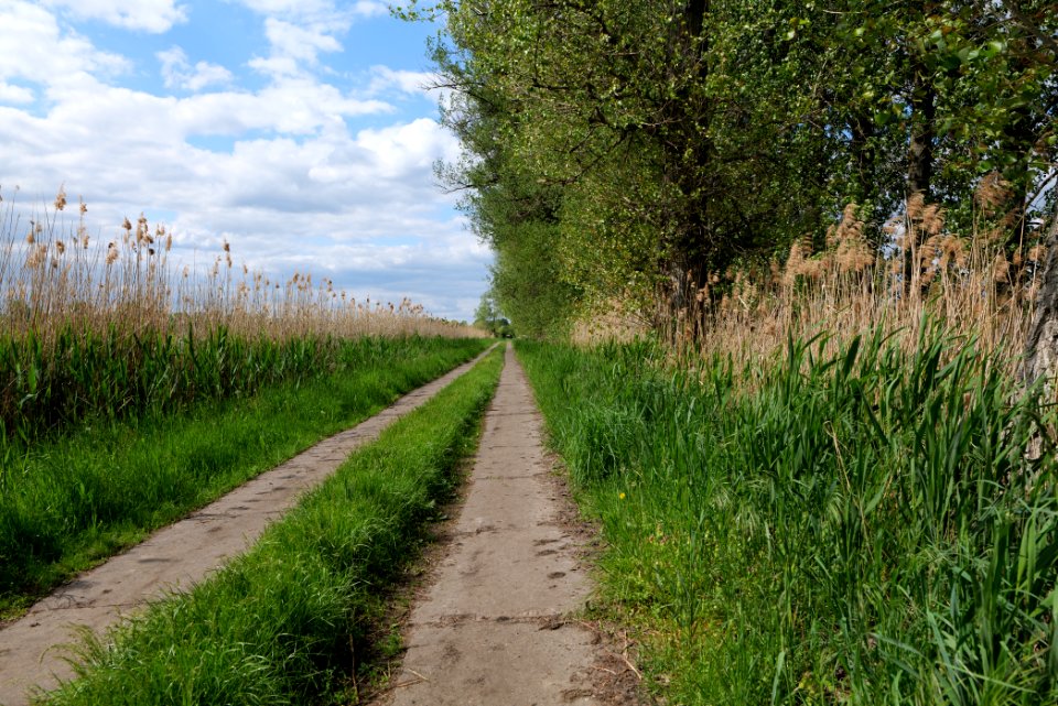 Track in Nauen 2020-05-15 05