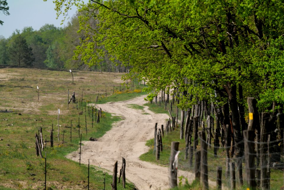 Track in Döberitzer Heide Ferbitzer Bruch 2020-05-08 20