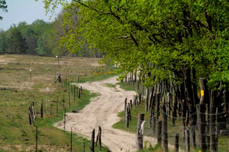 Track in Döberitzer Heide Ferbitzer Bruch 2020-05-08 20