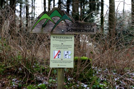 Track from Herrrenwieser Sattel to Mittelfeldhütte 2020-03-13 08