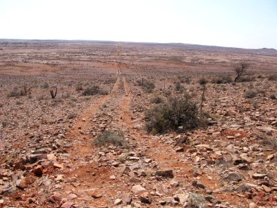 Track in arid zone