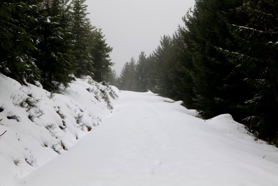 Track from Herrenwieser Sattel to Badener Höhe with snow 2020-03-10 11