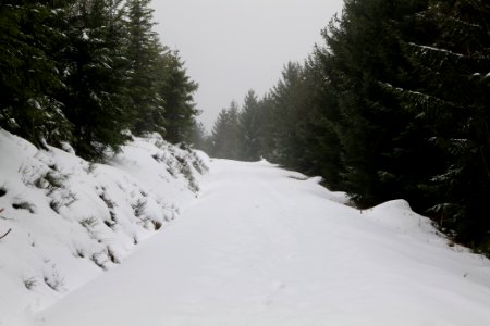 Track from Herrenwieser Sattel to Badener Höhe with snow 2020-03-10 11